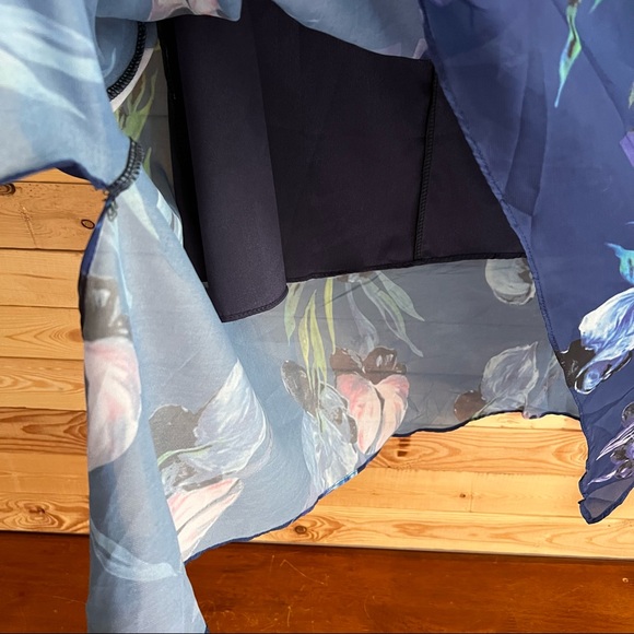 Charlie Charlie Charlotte Blue Multicolor Floral Print Cottagecore dress size L - Picture 4 of 12